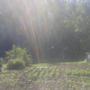 Продается Дом, 20 м²