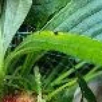 Продается Дом, 50,8 м²