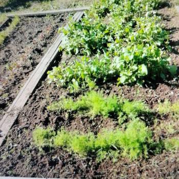 Продается Дом, 25 м²