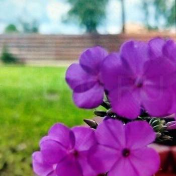 Продается Дом, 25 м²