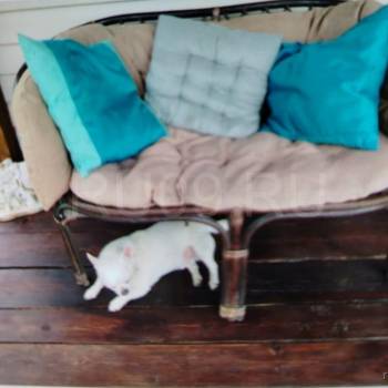 Продается Дом, 25 м²