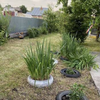 Продается Дом, 43 м²