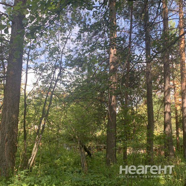 Фотография №2