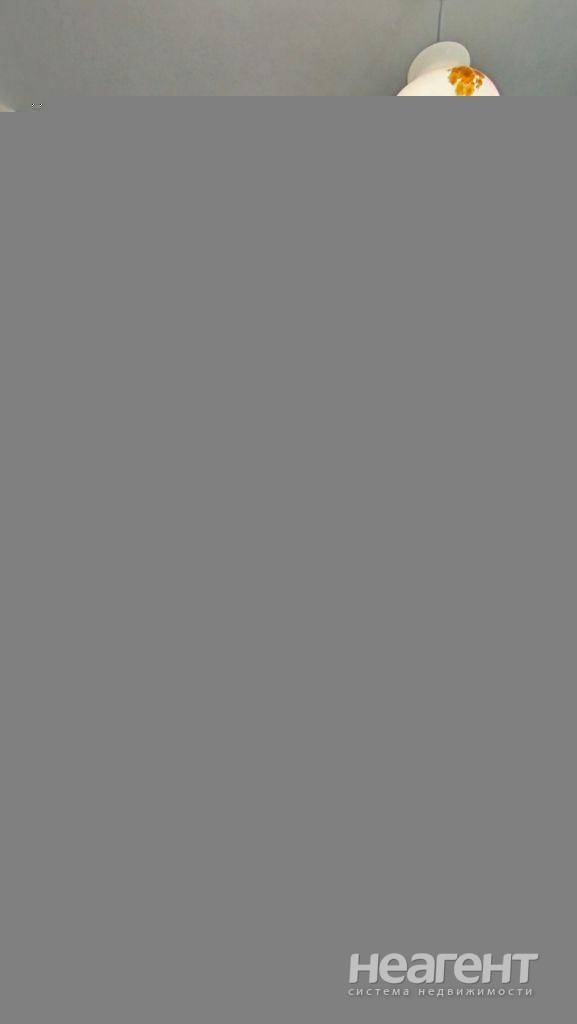 Фотография №3