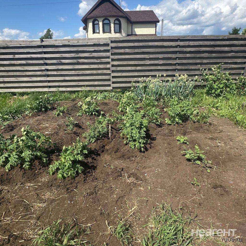 Фотография №4