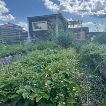 Продается Участок, 1000 м²