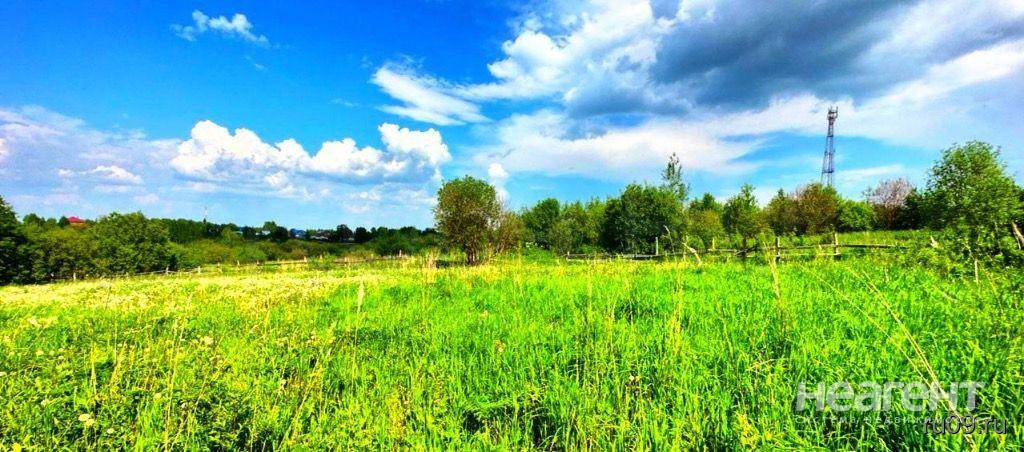 Фотография №2