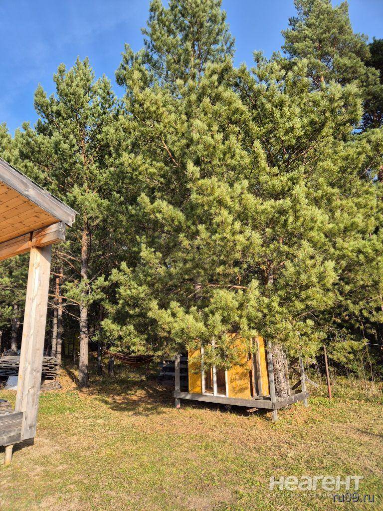 Фотография №2