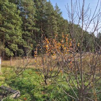 Продается Участок, 1200 м²