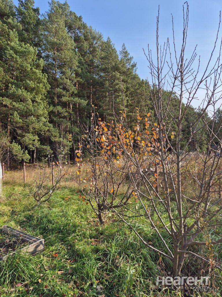 Фотография №5