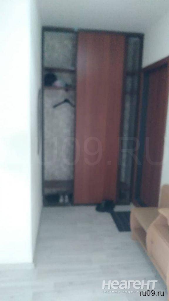 Фотография №3