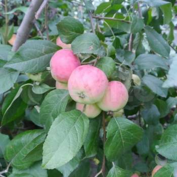 Продается Дом, 101 м²