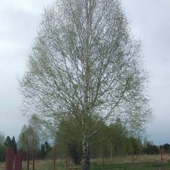 Продается Участок, 840 м²