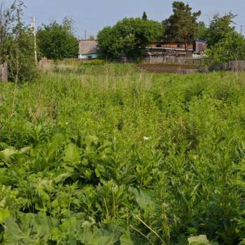 Продается Участок, 1300 м²