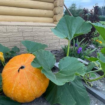 Продается Дом, 90 м²