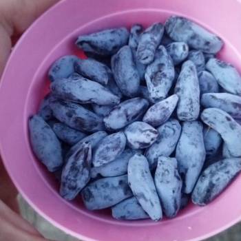 Продается Участок, 600 м²