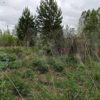 Продается Участок, 1000 м²