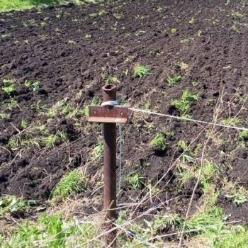 Продается Участок, 600 м²