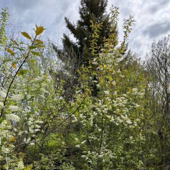 Продается Участок, 1300 м²