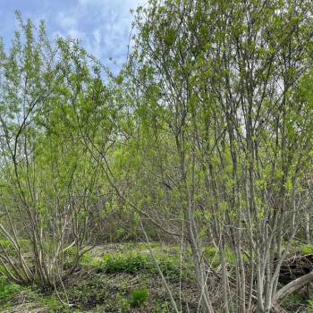 Продается Участок, 1300 м²