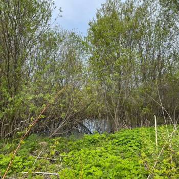 Продается Участок, 1300 м²