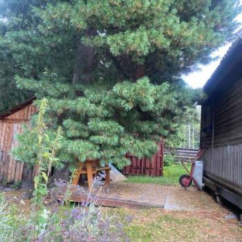 Продается Дом, 18 м²