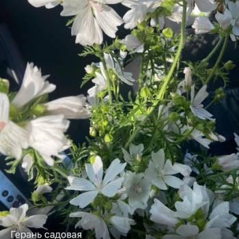 Продается Участок, 610 м²