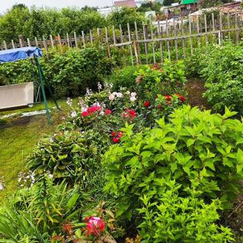 Продается Участок, 700 м²