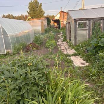 Продается Дом, 25 м²