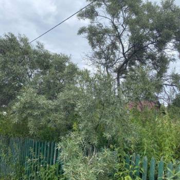 Продается Участок, 600 м²