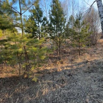 Продается Участок, 2000 м²