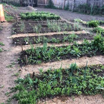 Продается Участок, 500 м²