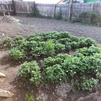 Продается Участок, 500 м²