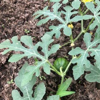 Продается Участок, 500 м²