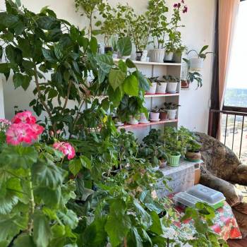 Продается 1-комнатная квартира, 48 м²