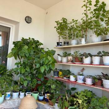 Продается 1-комнатная квартира, 48 м²