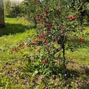 Продается Участок, 1300 м²