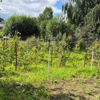 Продается Участок, 1300 м²