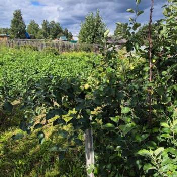 Продается Участок, 1300 м²