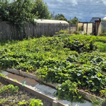 Продается Участок, 1300 м²