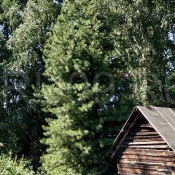 Продается Участок, 1000 м²