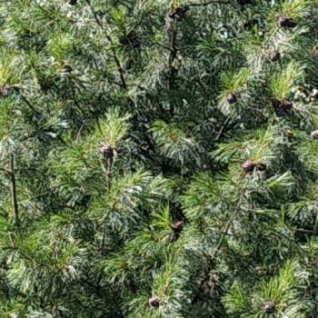 Продается Участок, 1000 м²