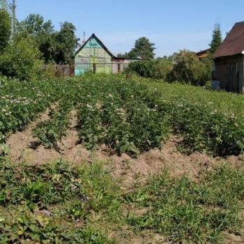 Продается Участок, 1000 м²