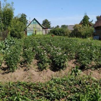 Продается Участок, 1000 м²