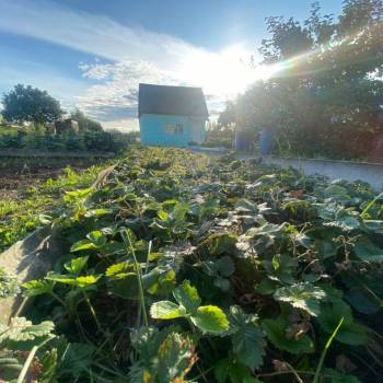 Продается Дом, 25 м²