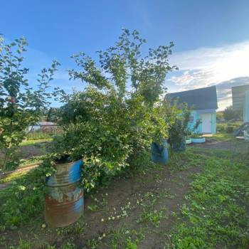 Продается Дом, 25 м²