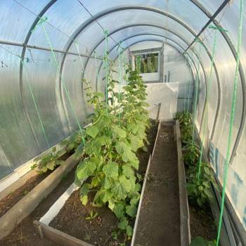 Продается Дом, 25 м²