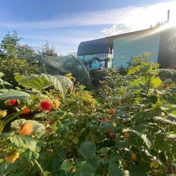 Продается Дом, 25 м²