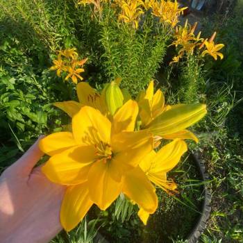 Продается Дом, 25 м²