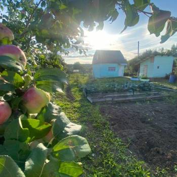 Продается Дом, 25 м²